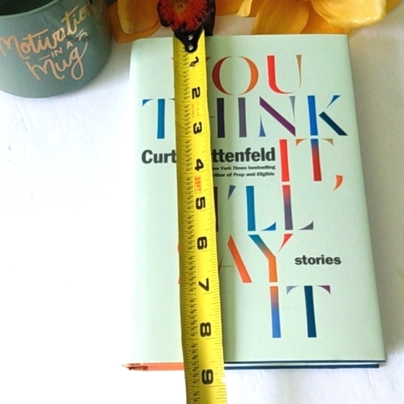 CURTIS SITTENFELD BEST SELLING AUTHOR YOU THINK IT I'LL SAY IT STORIES NWOT - Picture 10 of 12
